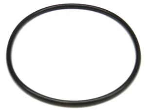 O-ring