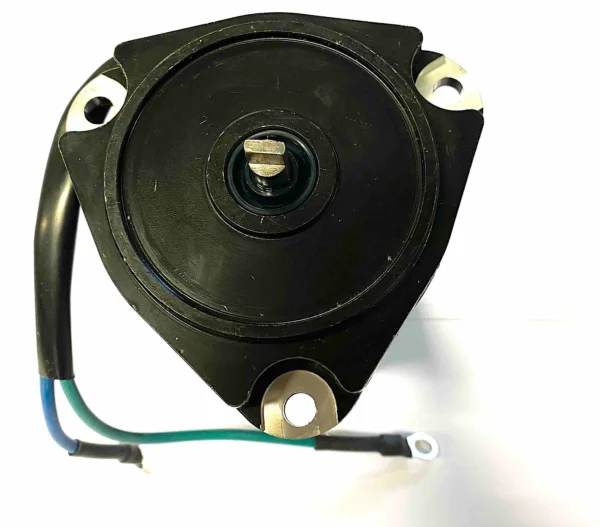 Trim & Tiltmotor - Bild 2