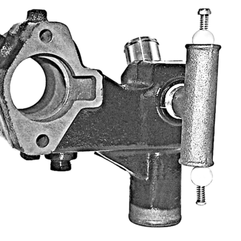 Termostathus