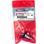 Termostat Yamaha Original 60C