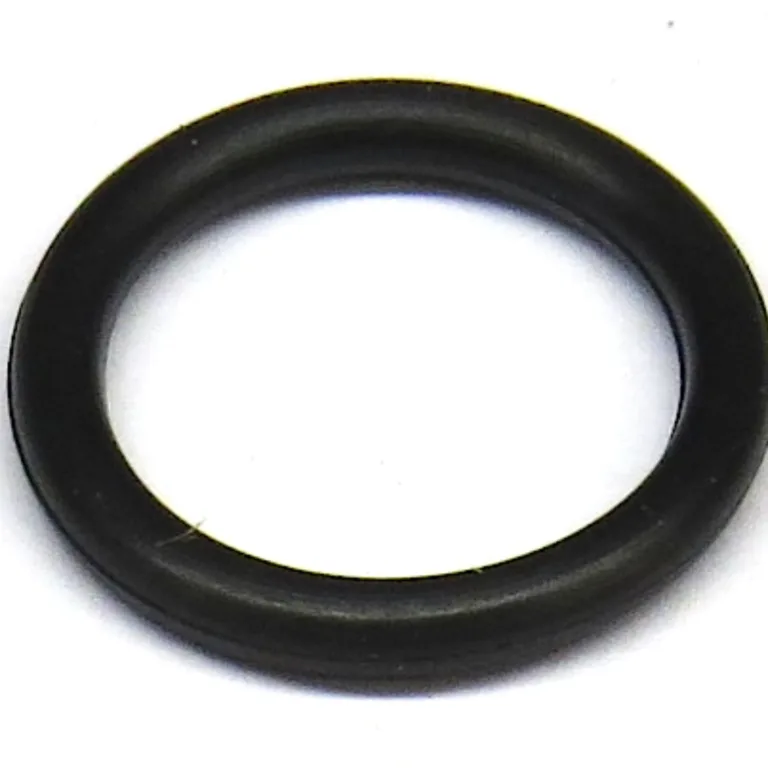 O-ring