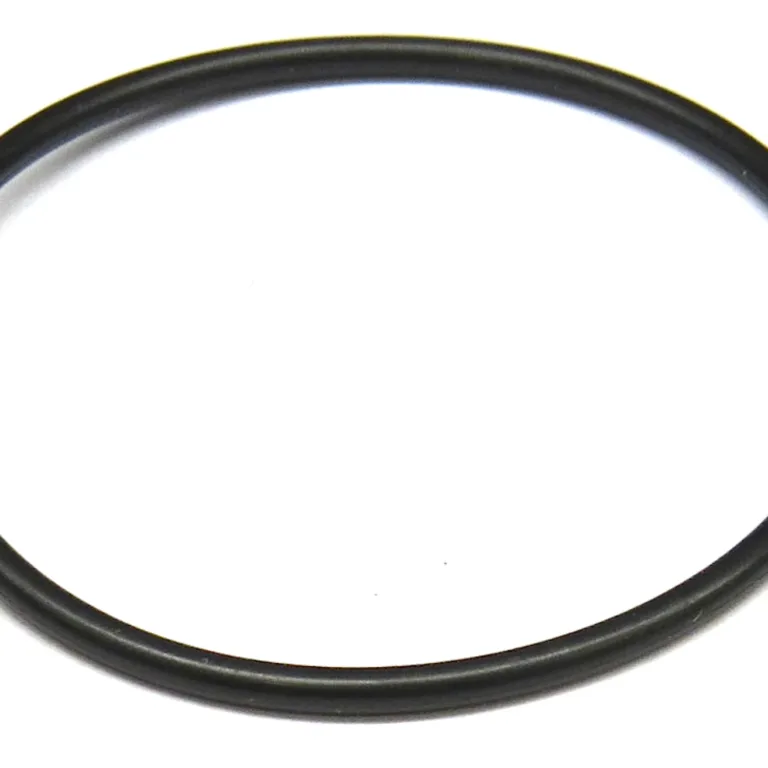 O-ring