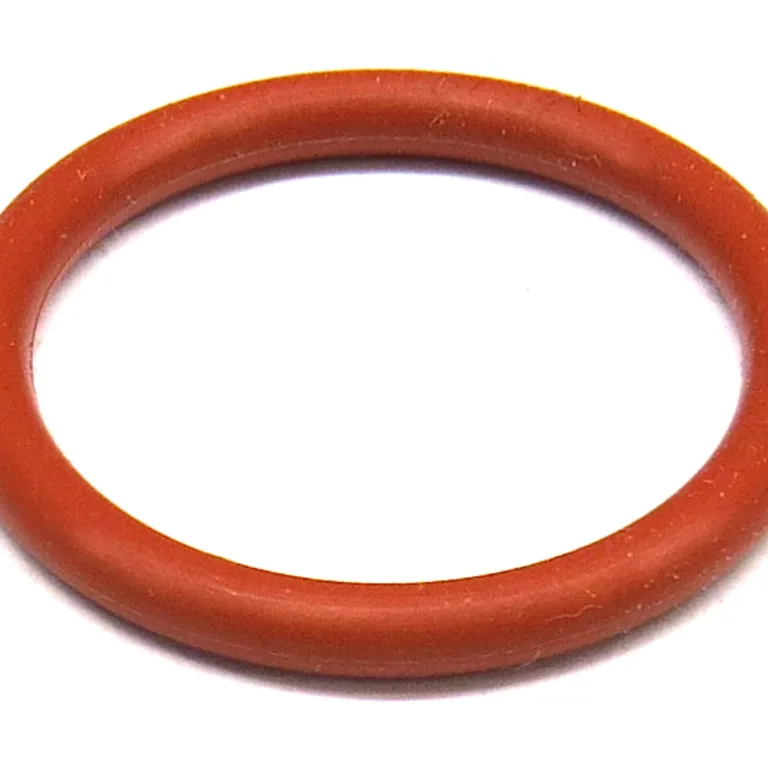 O-ring