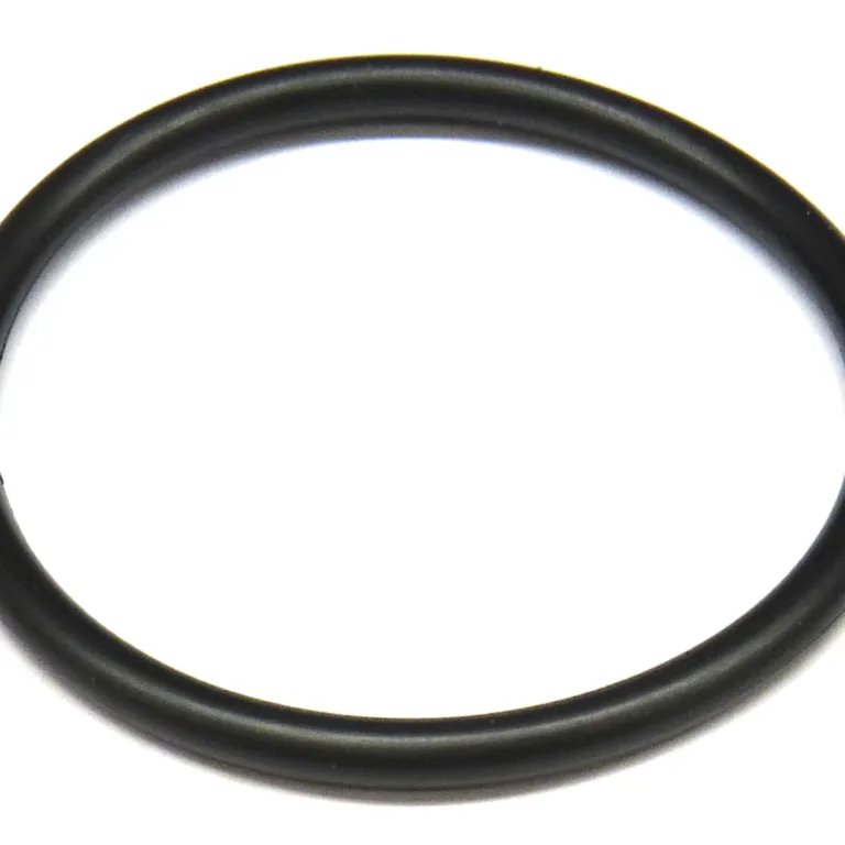 O-ring