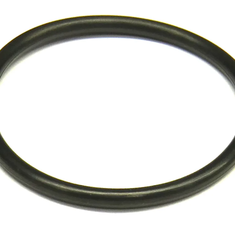 O-ring
