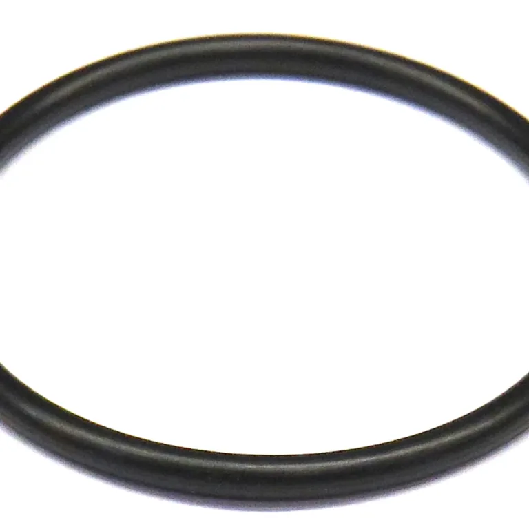 O-ring