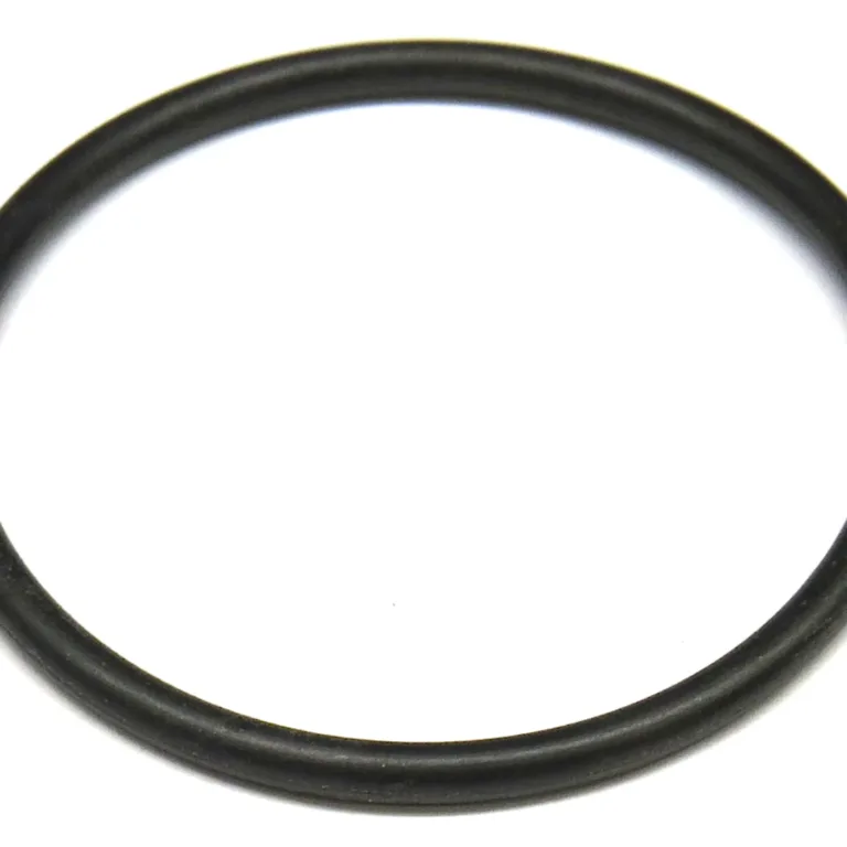 O-ring