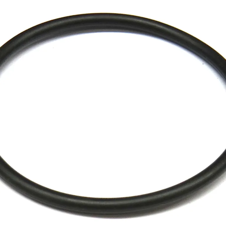 O-ring