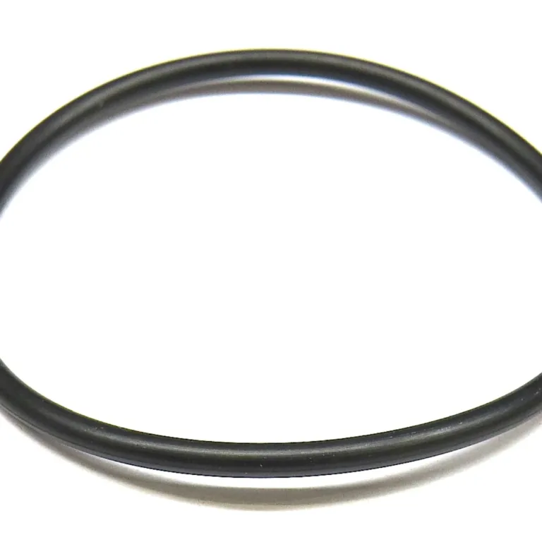O-ring