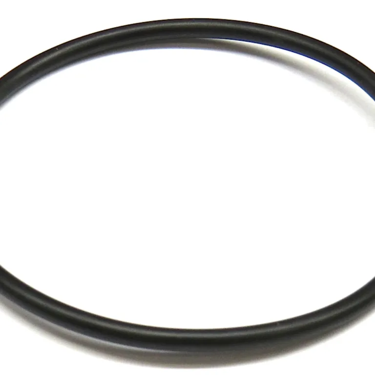 O-ring