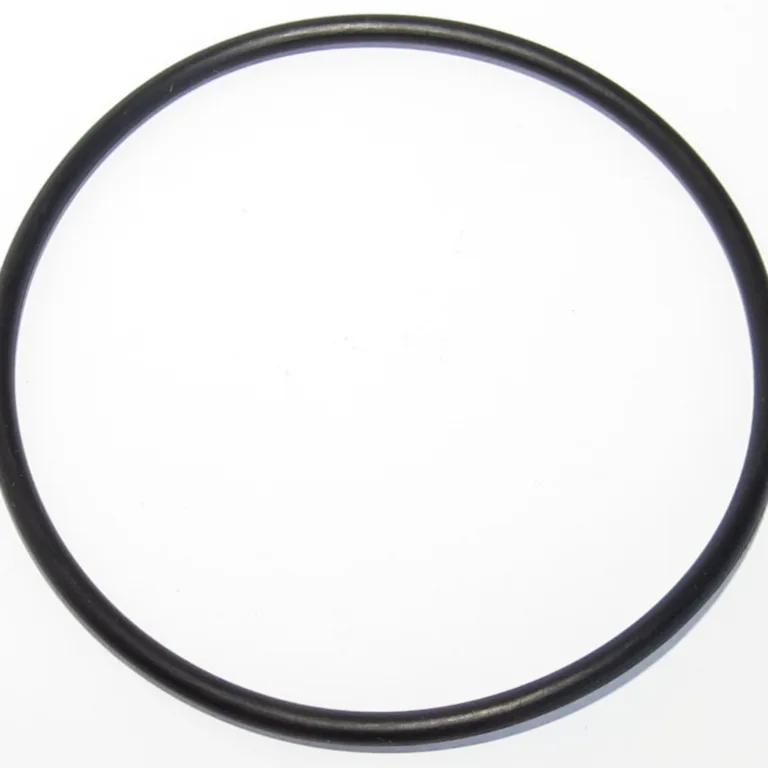 O-ring