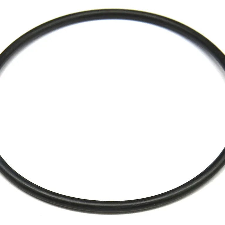 O-ring