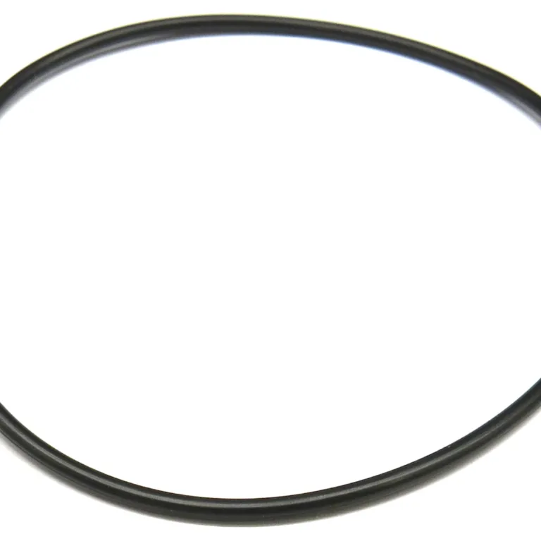 O-ring