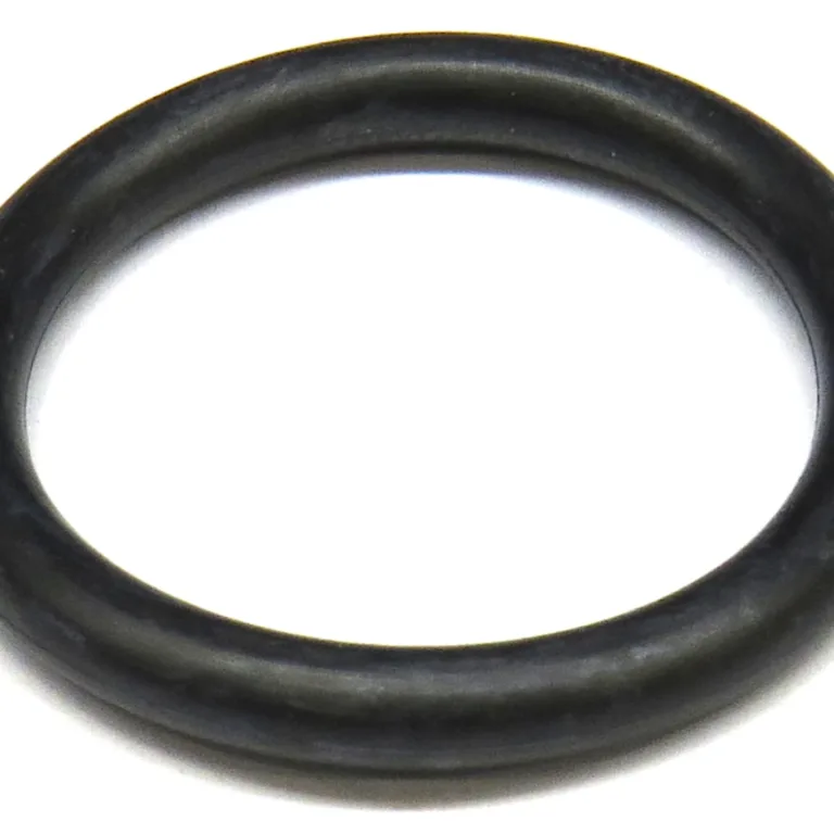 O-ring