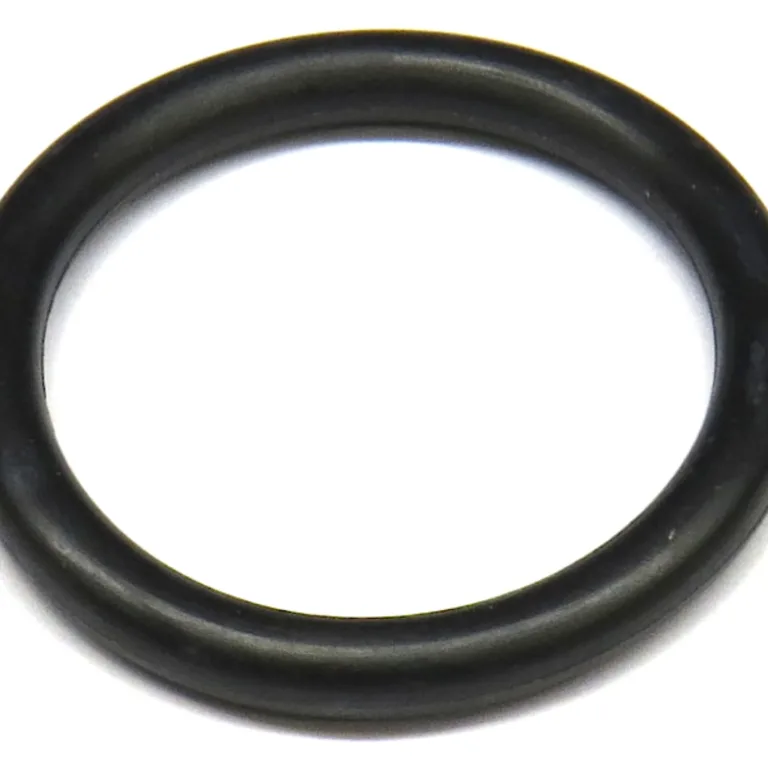O-ring