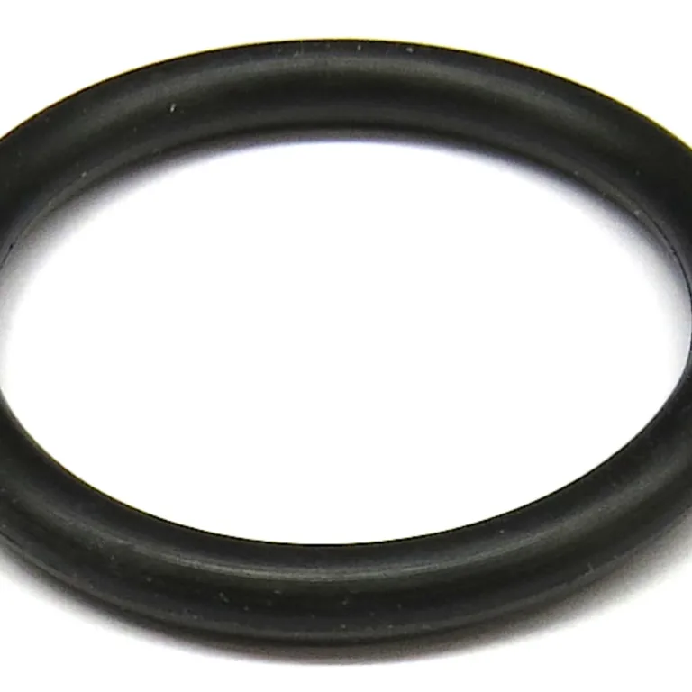 O-ring
