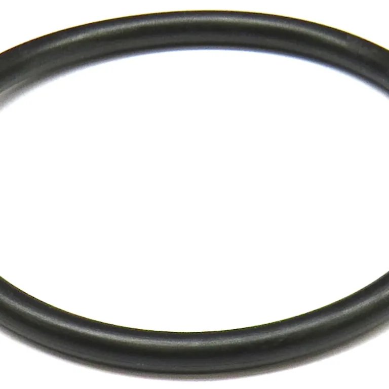 O-ring