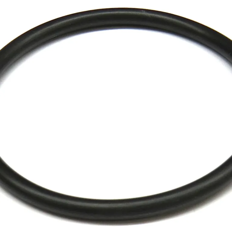 O-ring