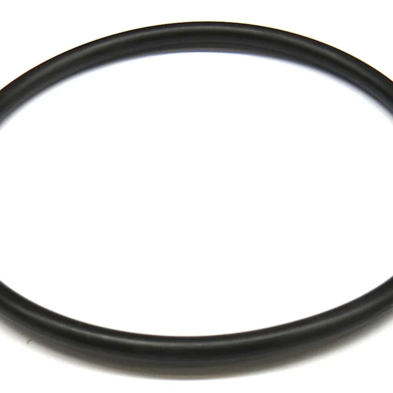 O-ring