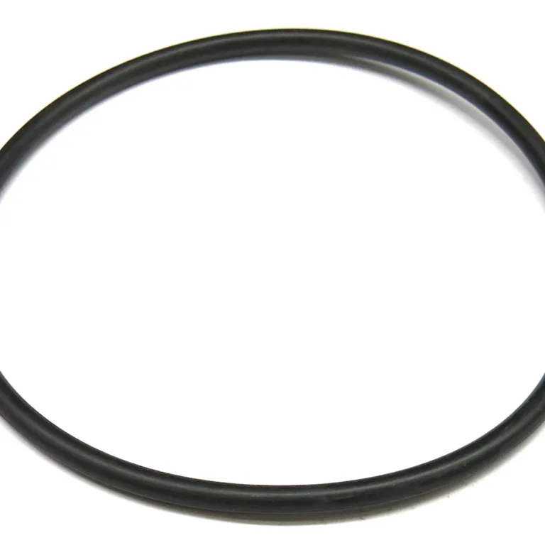 O-ring
