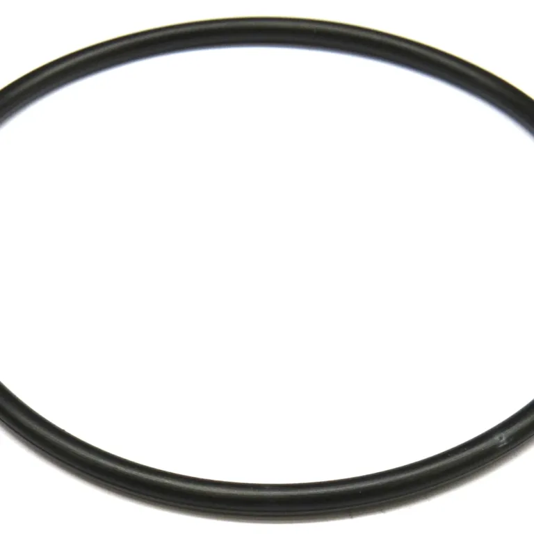 O-ring