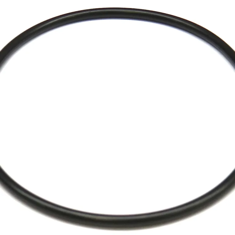 O-ring