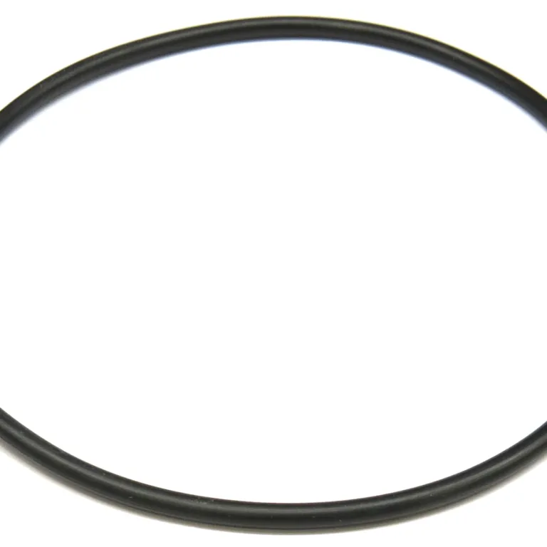 O-ring