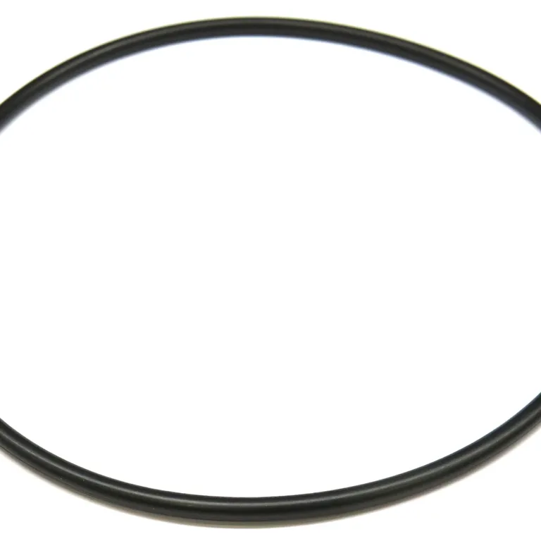 O-ring