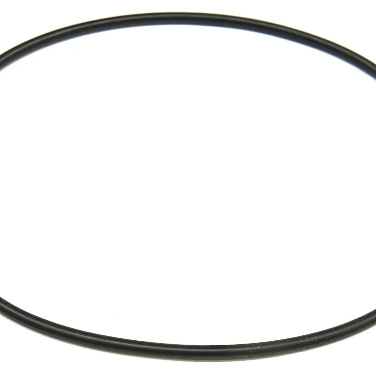 O-ring