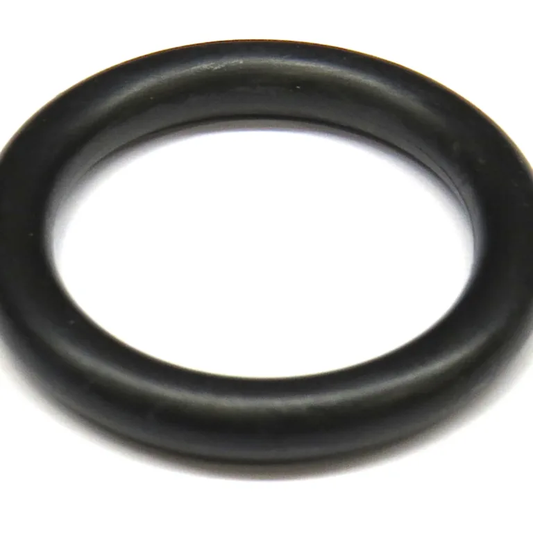 O-Ring