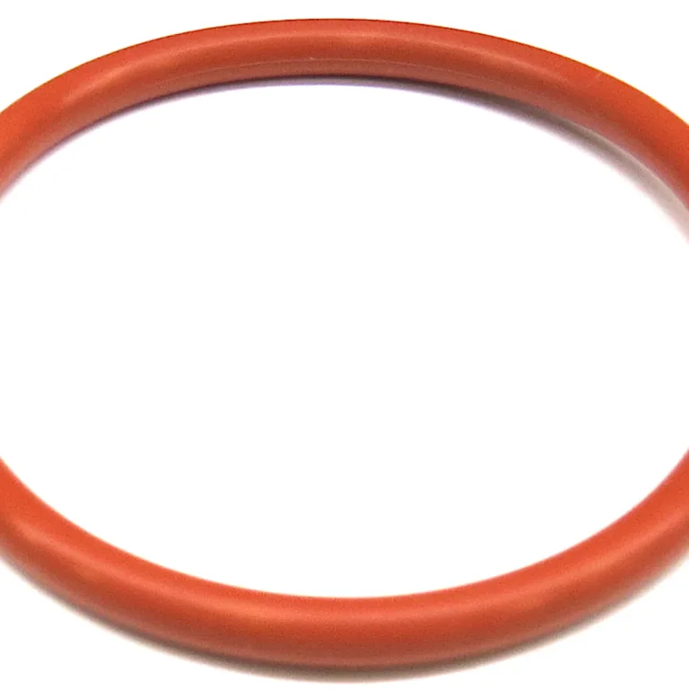 O-ring