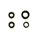 Packningssats oljepluggar 