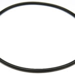 O-ring