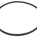 O-ring