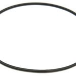 O-ring